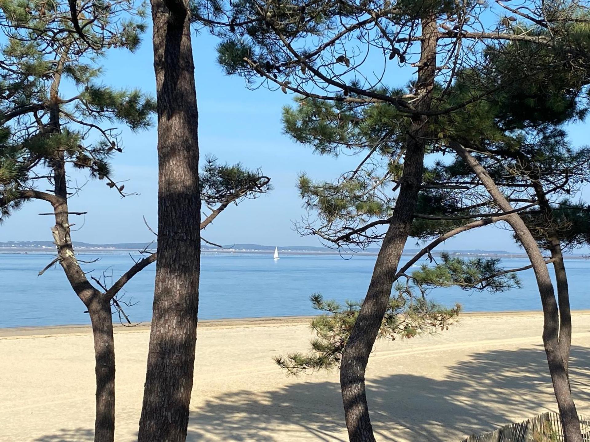Charme & Confort- Les Cottages Du Bassin D'Arcachon- Petit-Dejeuner Sur Demande - Nuitee, Court Sejour, Semaine Gujan-Mestras Εξωτερικό φωτογραφία