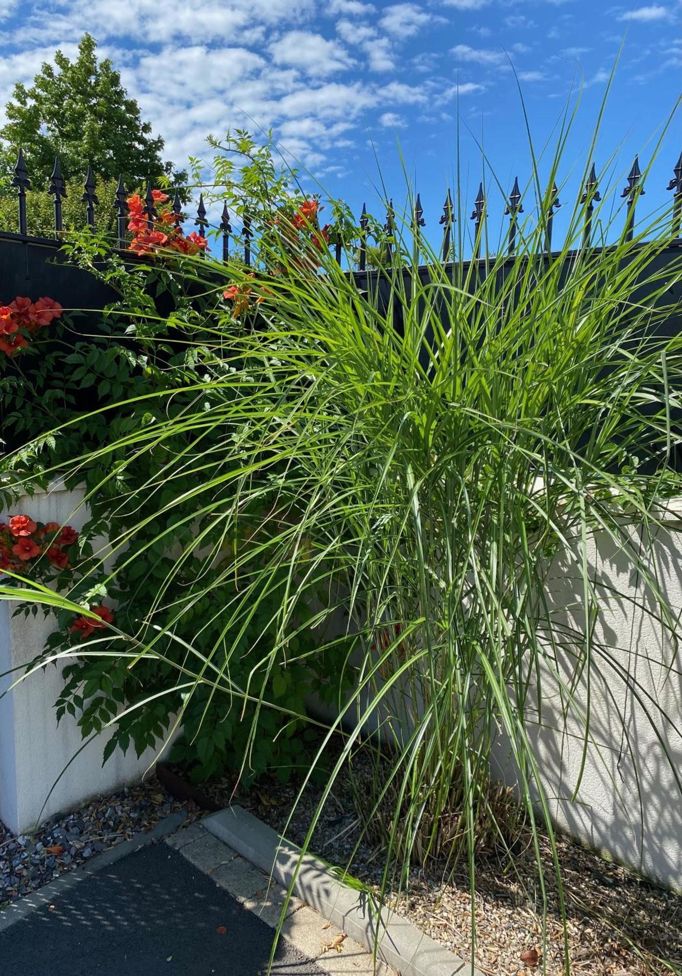 Charme & Confort- Les Cottages Du Bassin D'Arcachon- Petit-Dejeuner Sur Demande - Nuitee, Court Sejour, Semaine Gujan-Mestras Εξωτερικό φωτογραφία